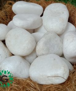 White Pebbles 5-8cm