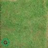 Crown Grass | Natural Carpet Grass