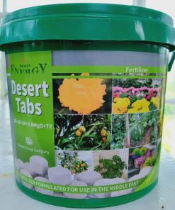 Plants Energy Tabs