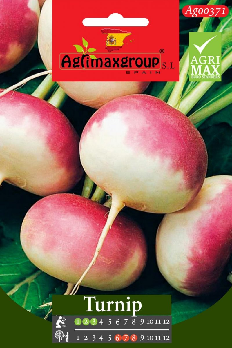 Turnip Seeds Green Experts Landscape LLC