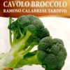 Sprouting Broccoli Seeds