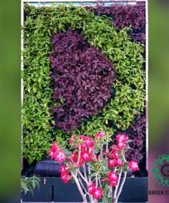 Moving Hedge | Vertical Garden