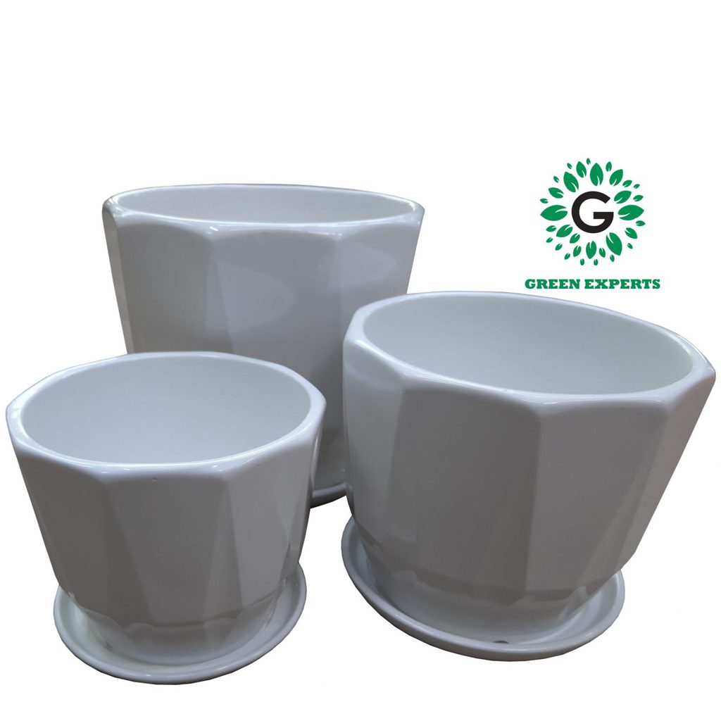 Ceramic Pot White Round Green Experts Landscape