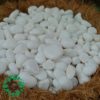 White Pebbles 1-2cm