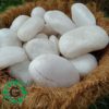 White Pebbles 3-5cm