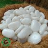 White Pebbles 2-4cm