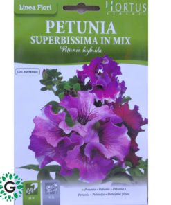 Petunia Purple Seeds