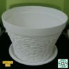 9923 1 pot
