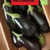 Black Eggplant