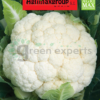 Cauliflower seeds