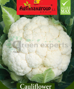 Cauliflower seeds