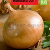 Gold Onion seeds
