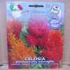 celosia plumosa alta miscuglio
