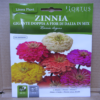 zinnia gigante doppia a fior di dalia in mix