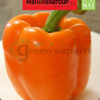 Sweet Pepper Orange