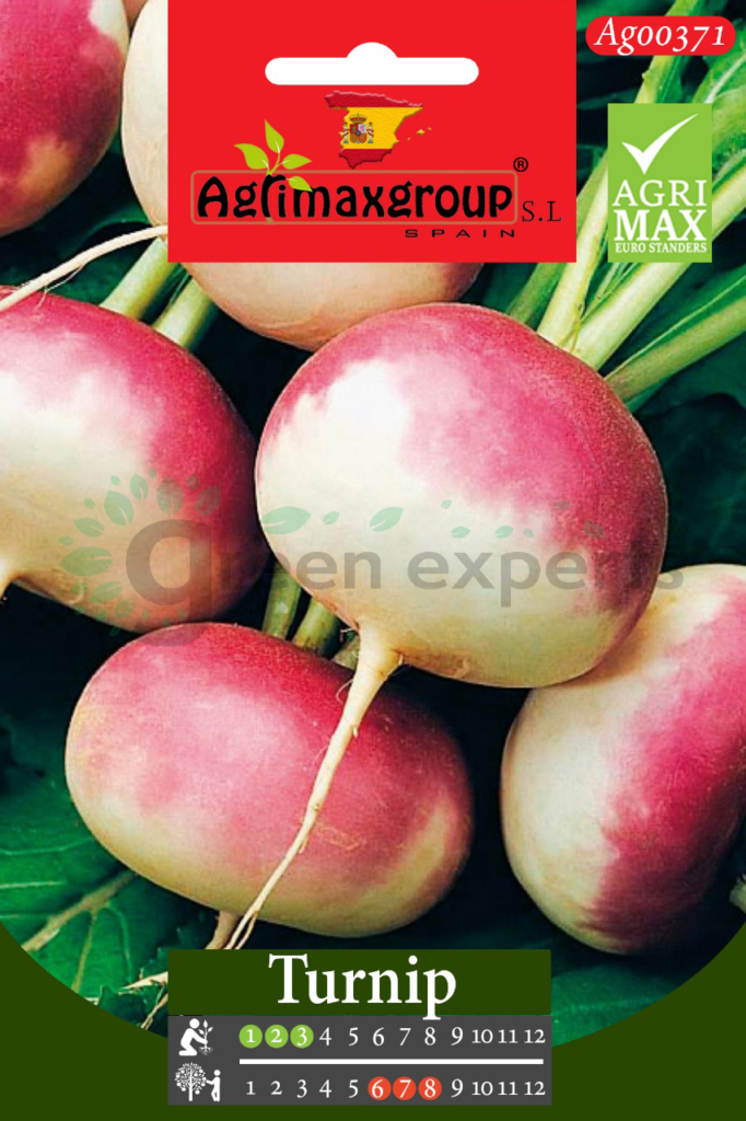 Turnip Seeds Green Experts Landscape LLC