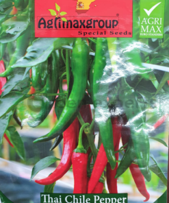 thai chilli pepper seed