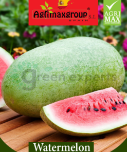 watermelon seeds long