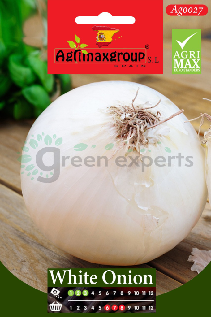 White Onion Seeds Green Experts Landscape LLC